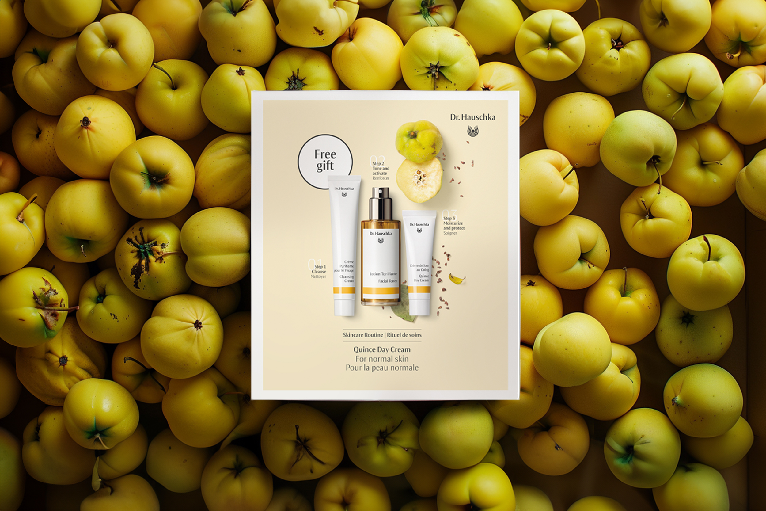 packaging designer