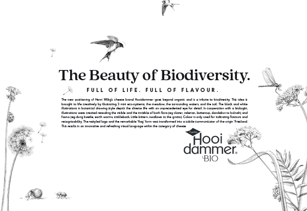 logo identity